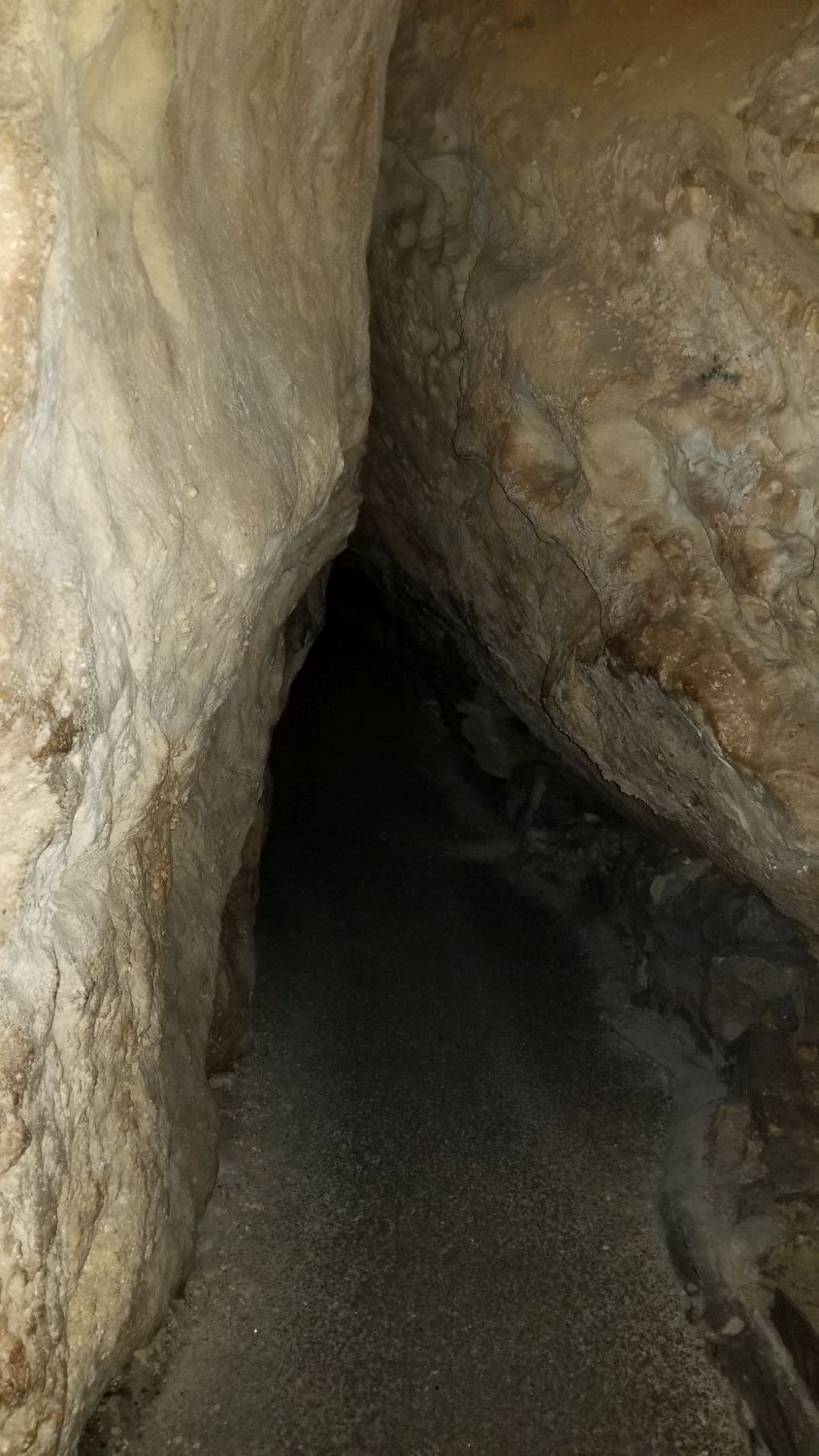 Carlsbad Caverns 